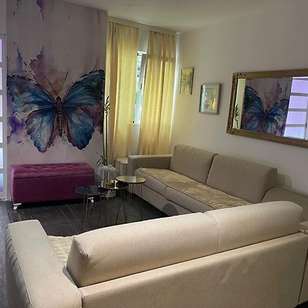 Dorotea Butterfly Budva Bagian luar foto