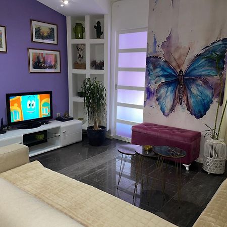 Dorotea Butterfly Budva Bagian luar foto